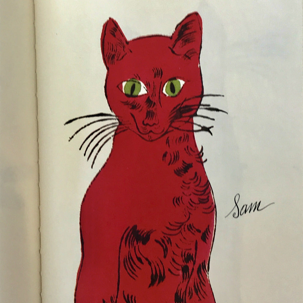 25 Cats Name Sam and one Blue Pussy [and] Holy Cats by Andy