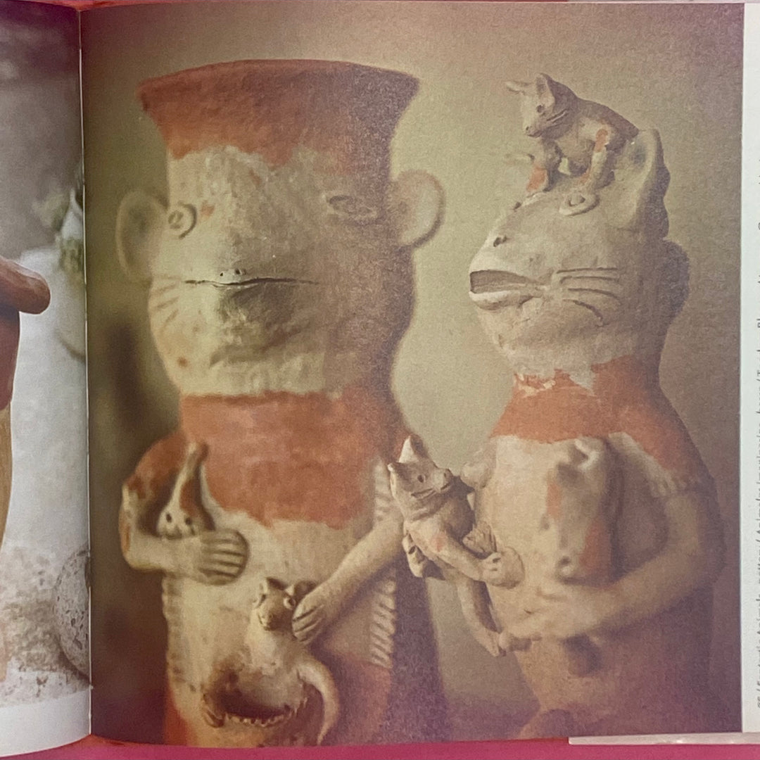 The Magic Of A People : Folk Art and Toys from the